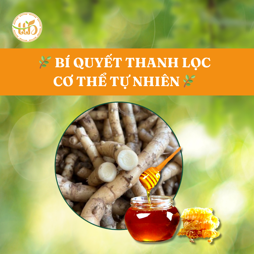 Bí Quyết Thanh Lọc Cơ Thể Tự Nhiên Với Ngải Chống Độc