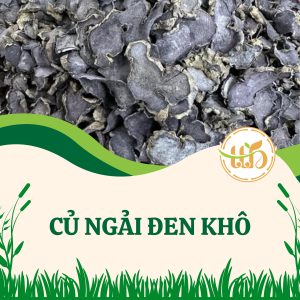 Cách Bảo Quản Ngải Đen Khô Lâu Nhất