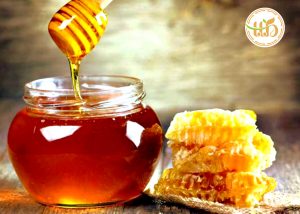 Mật ong thiên nhiên Thiện Tín Bảo