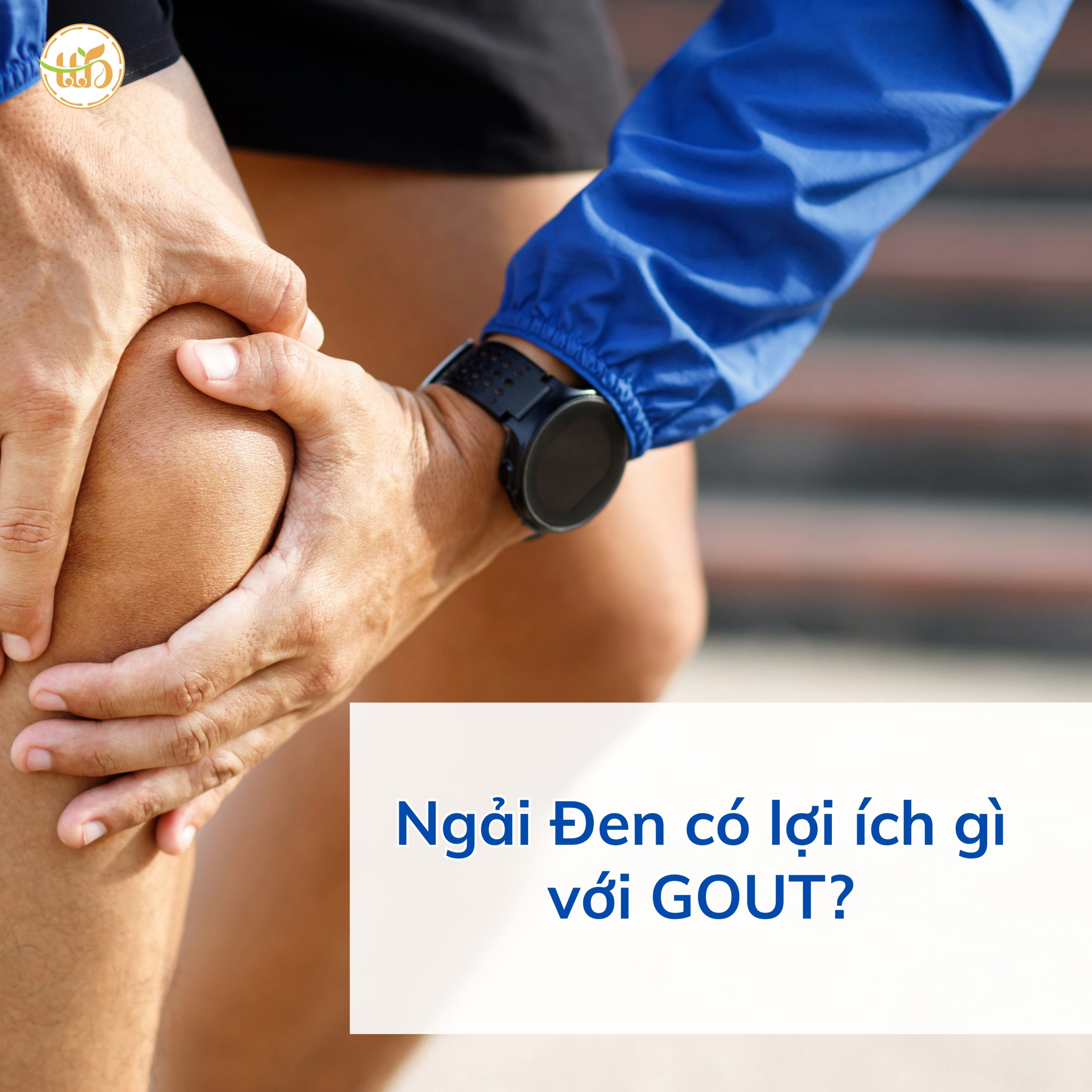 Lợi ích của ngải đen Thiện Tín Bảo