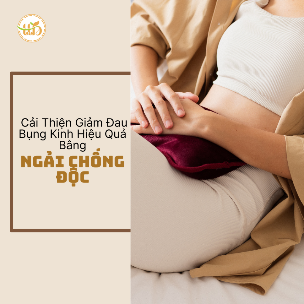 Giảm đau bụng kinh bằng củ ngải chống độc Thiện Tín Bảo
